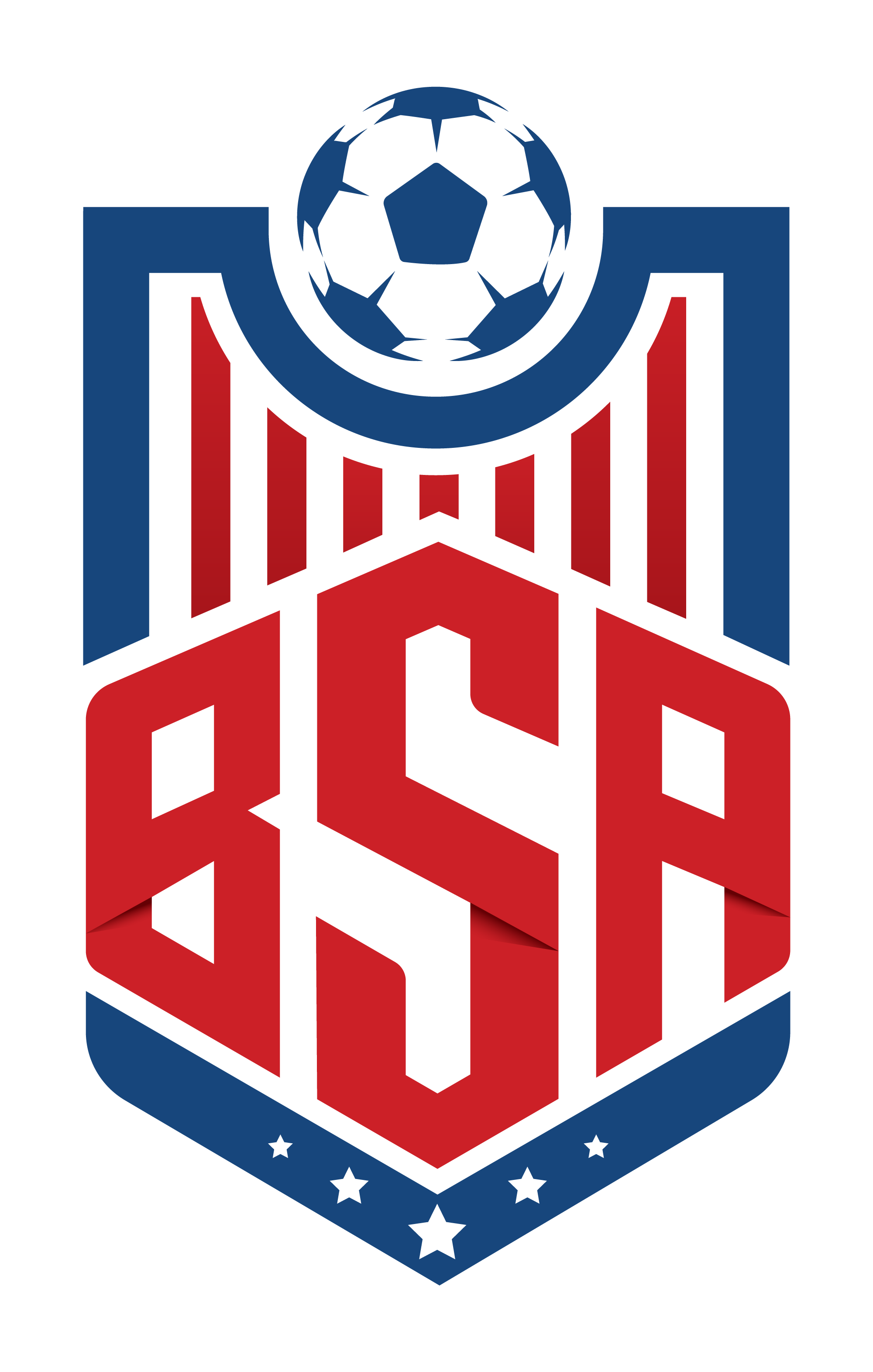 BSA New Website and Logo!